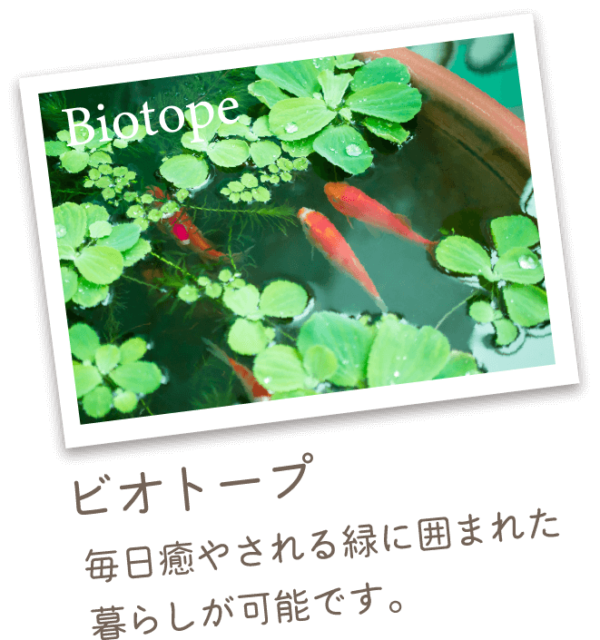 Biotope